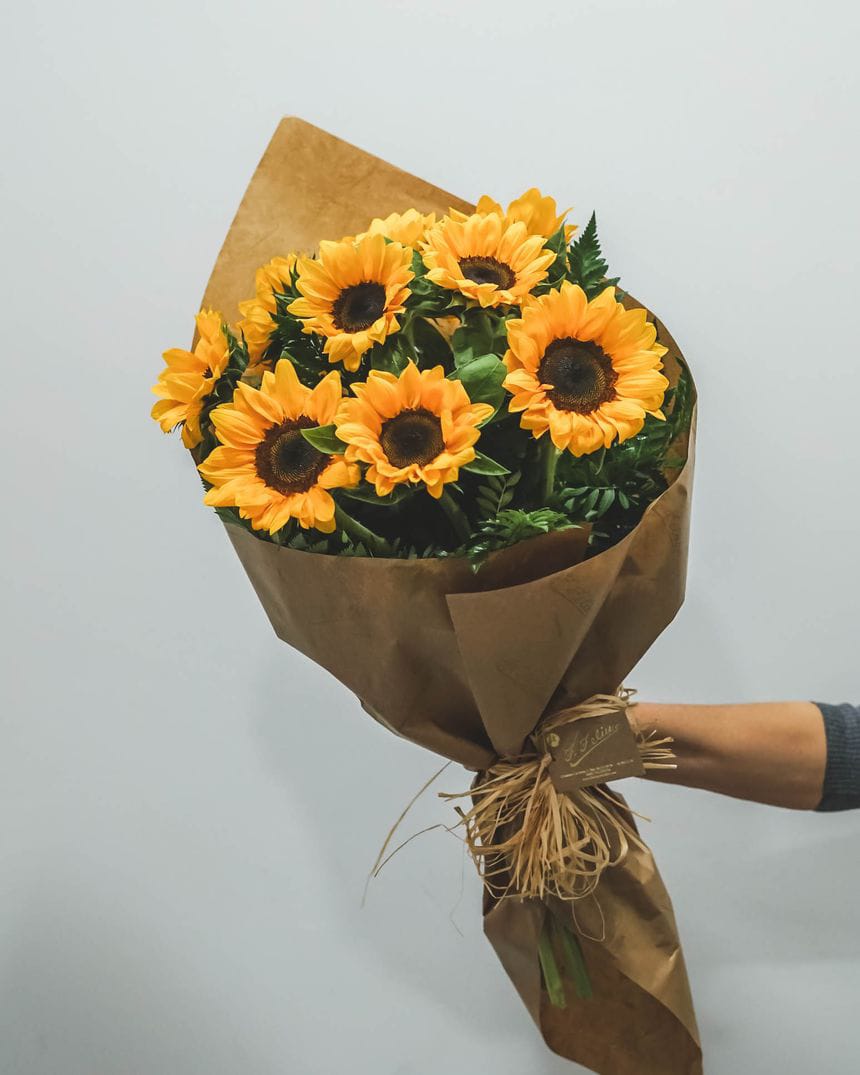 Girasol